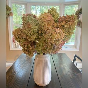 15 dried hydrangea flower blooms